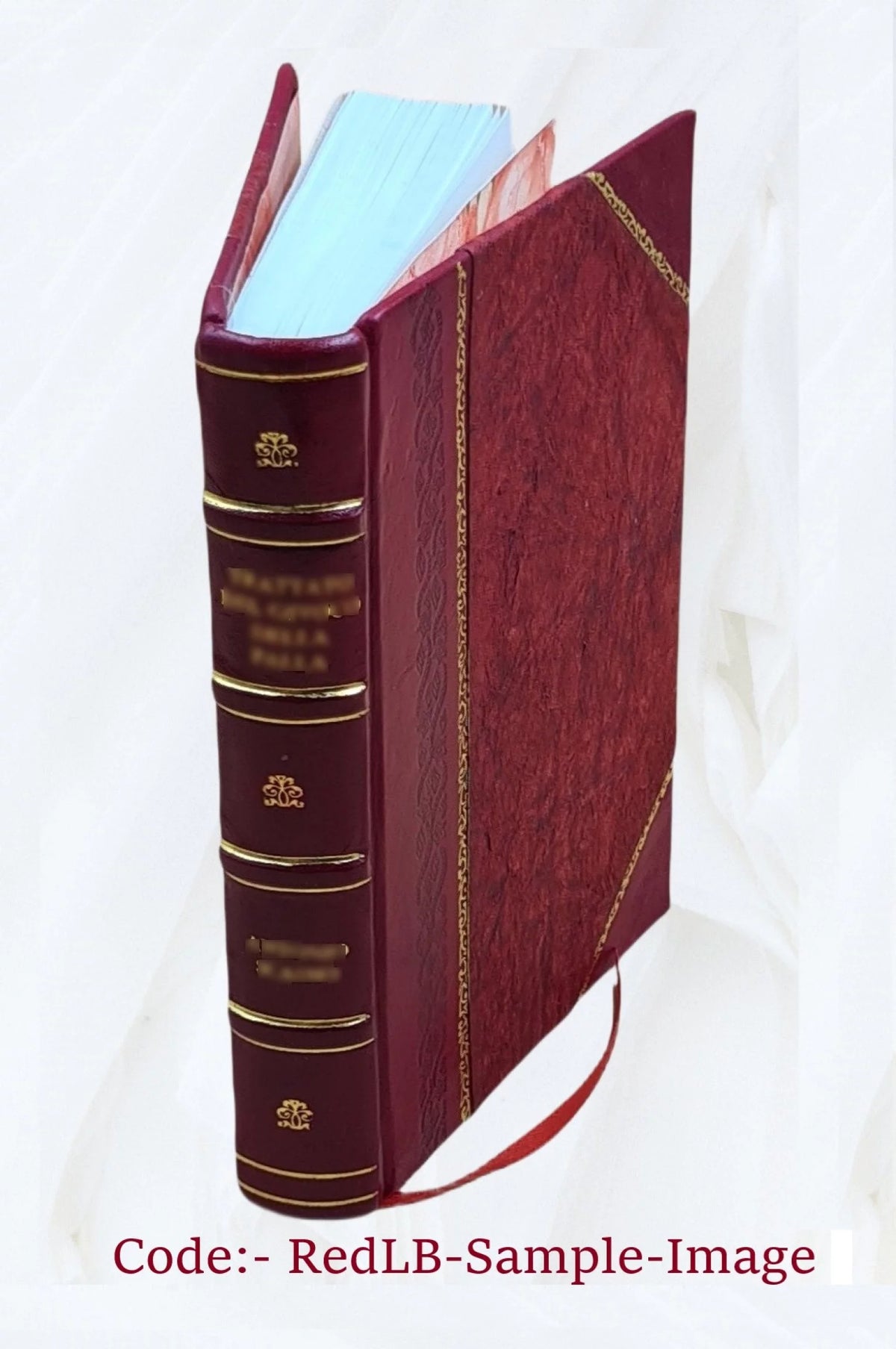 Natural History of Animals L1872