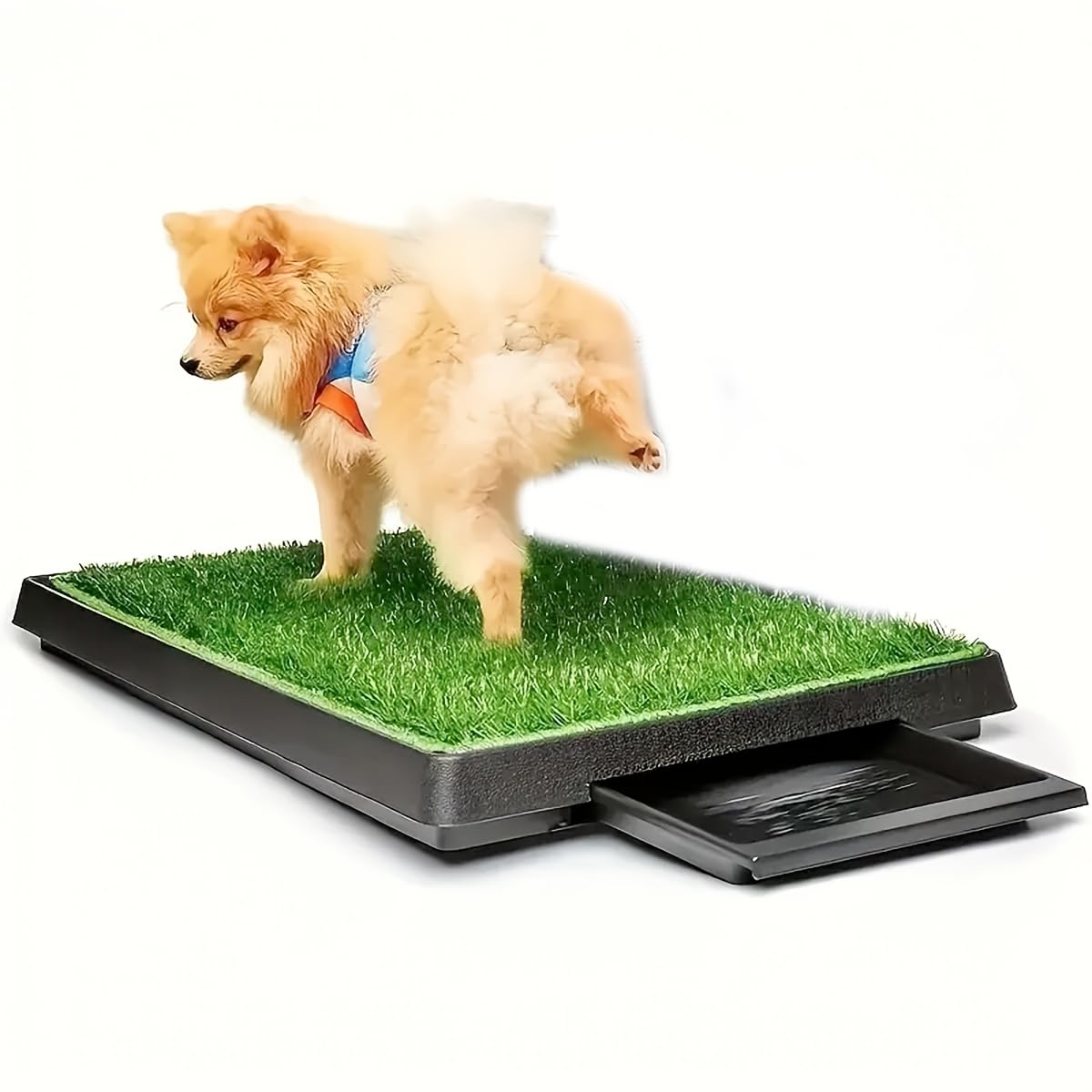 25" X 20" Dog Grass Pad with Tray C224858