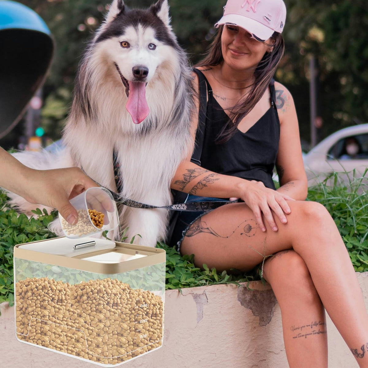 2 Pack 10 lb Clear Airtight Pet Food Storage Container D656504