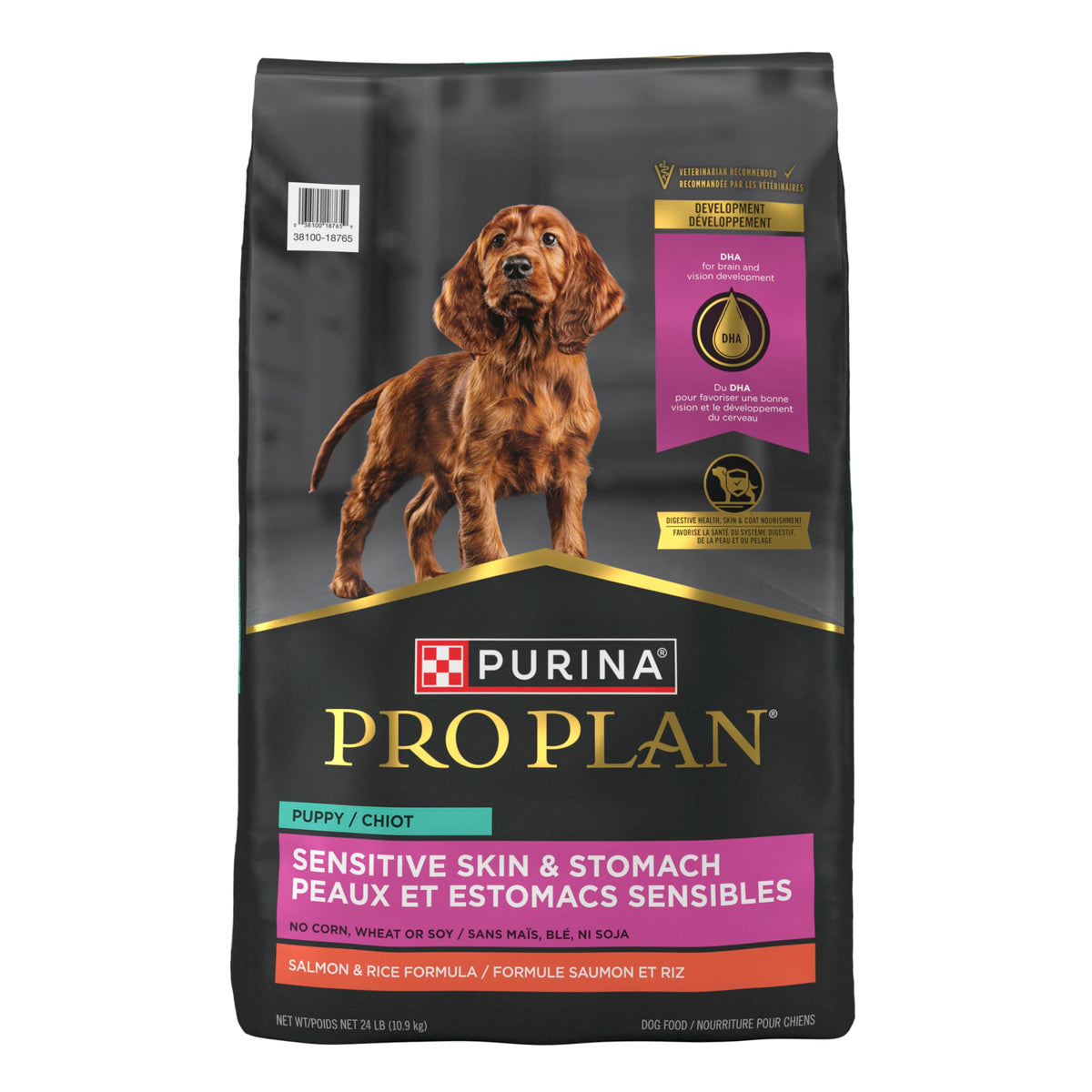 Salmon Puppy Dog Food 24 lb Bag M2719