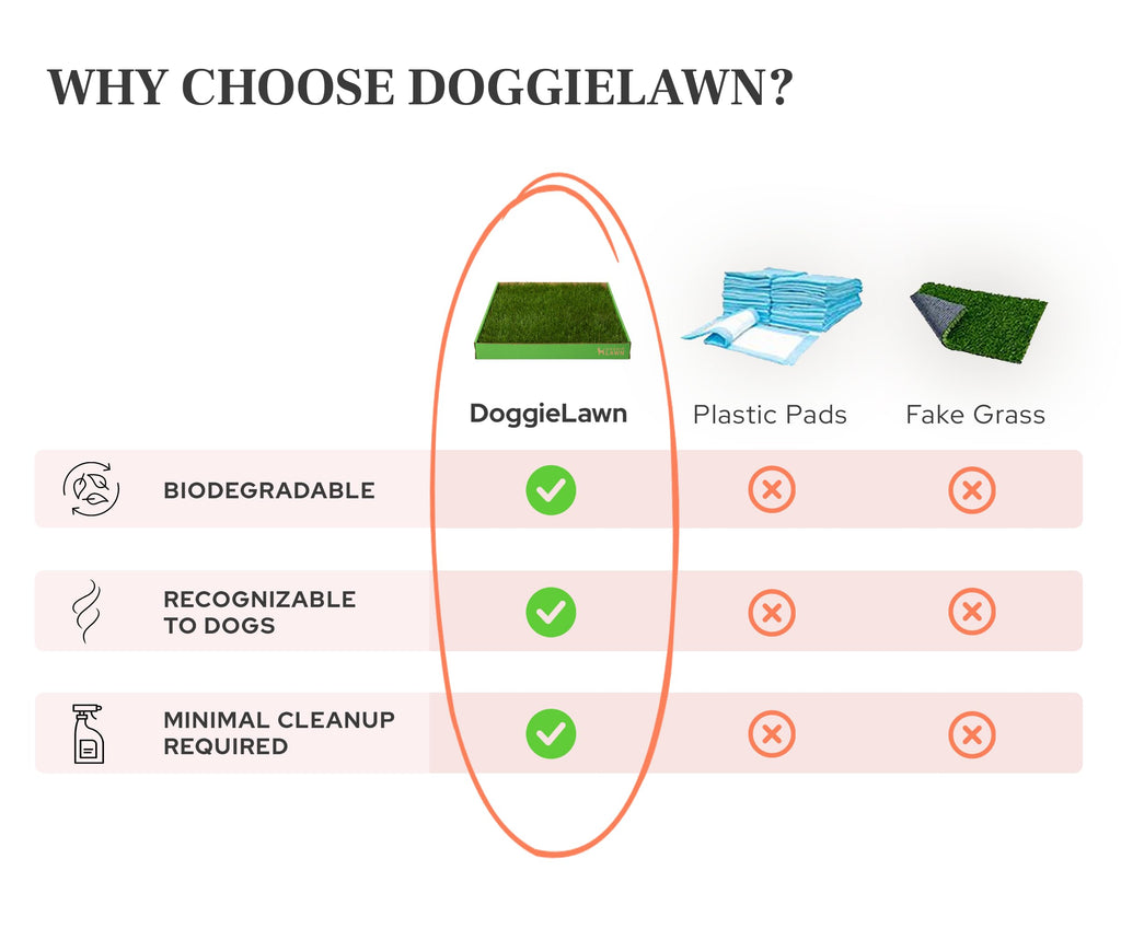 Real Grass Dog Pee Pads Medium 24x20 I4742