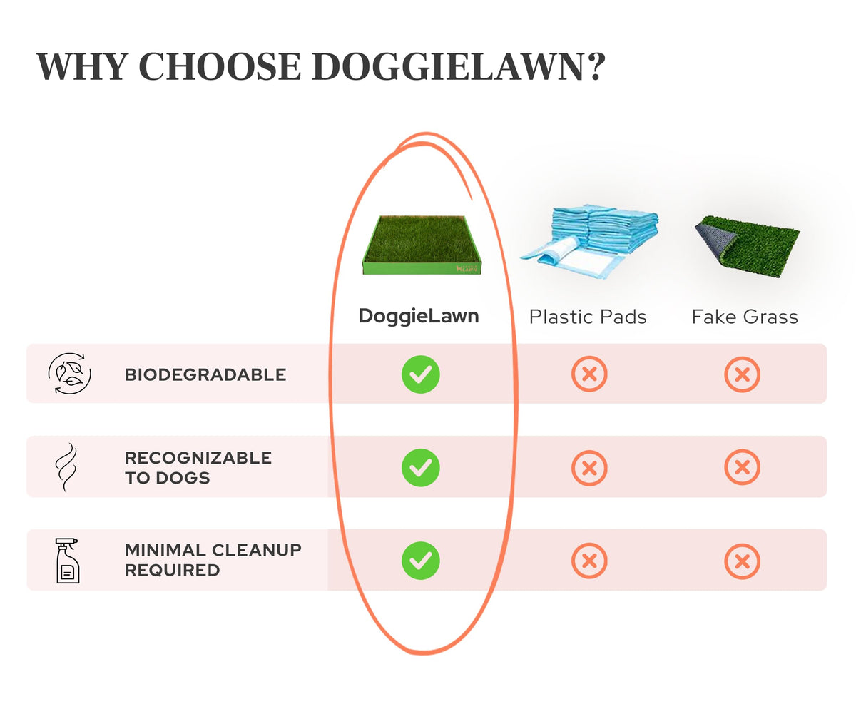 Real Grass Dog Pee Pads Medium 24x20 I4742