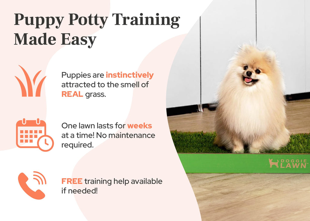 Real Grass Dog Pee Pads Medium 24x20 I4742