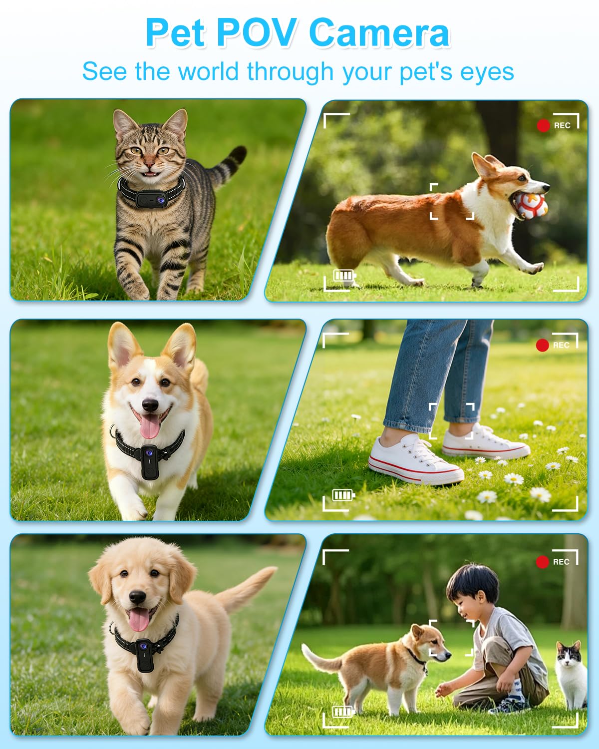 Cat Camera Collar with 1080P HD Video Record, XS-Size Pet POV Cam, 8GB SD Card N79391