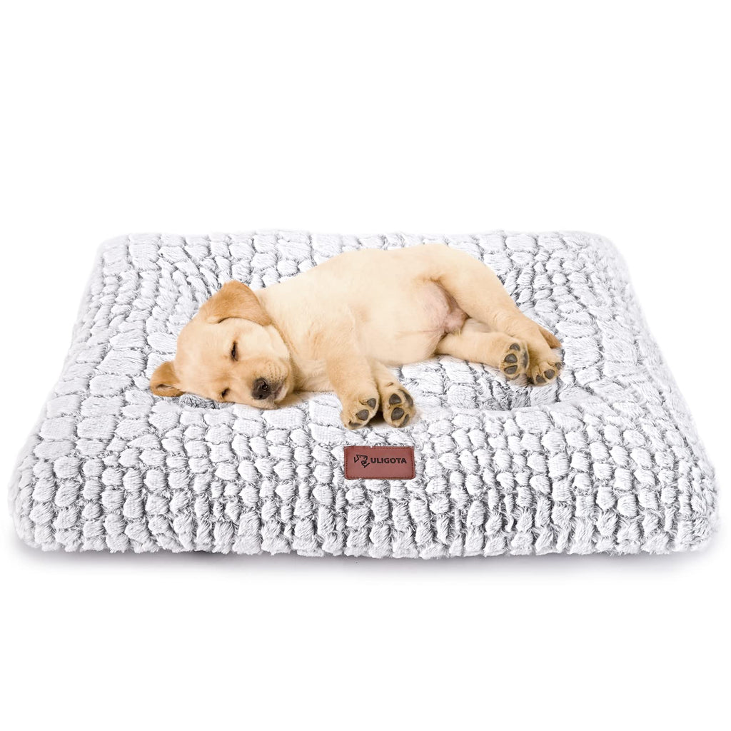 White Dog Crate Pad 24"x18" R1466