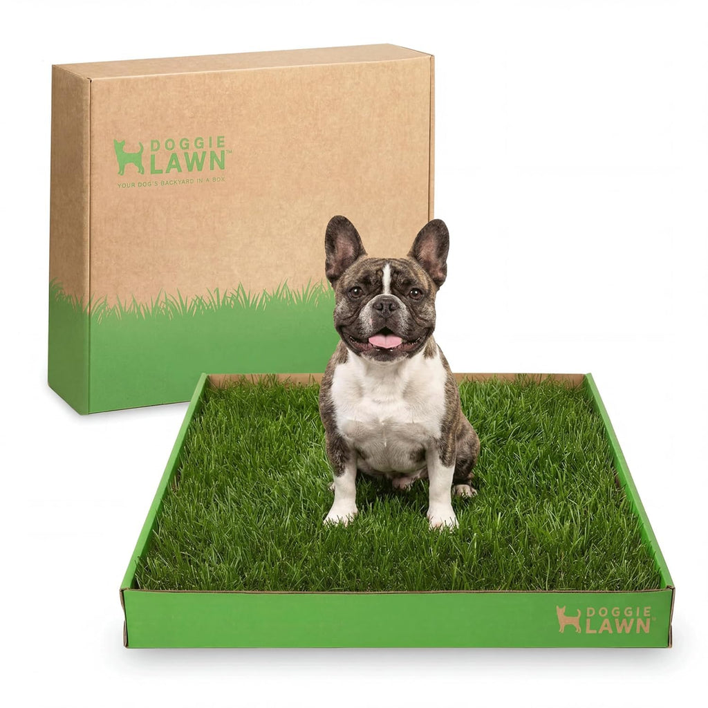 Real Grass Dog Pee Pads Medium 24x20 I4742