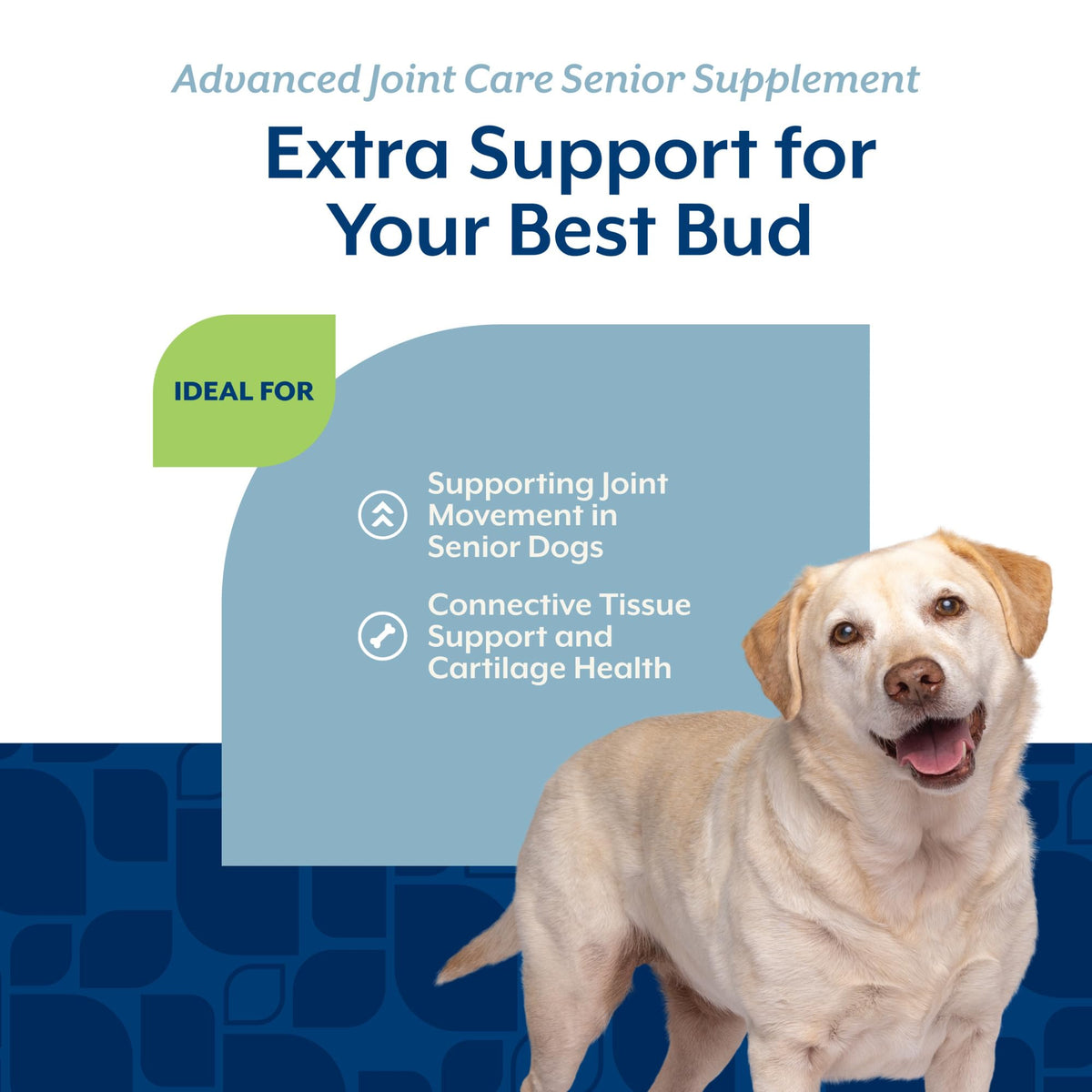 Senior Advanced Joint Health Dog Supplement 120 Ct N735571
