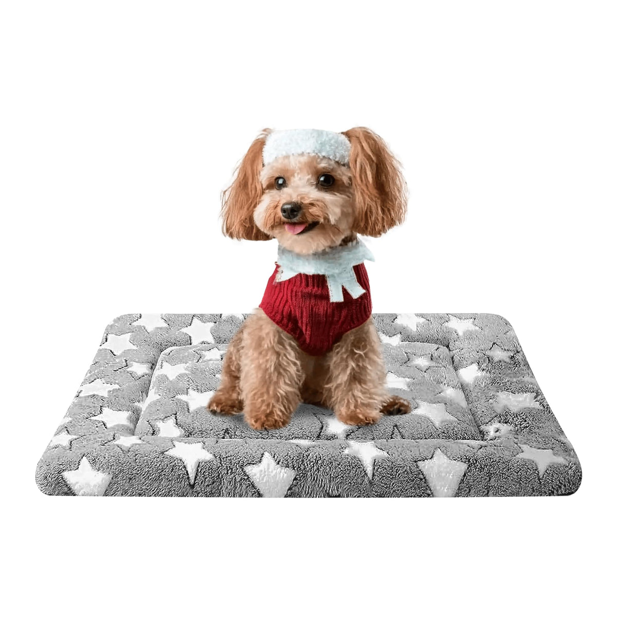 Reversible Machine Washable Dog Bed Mat W941