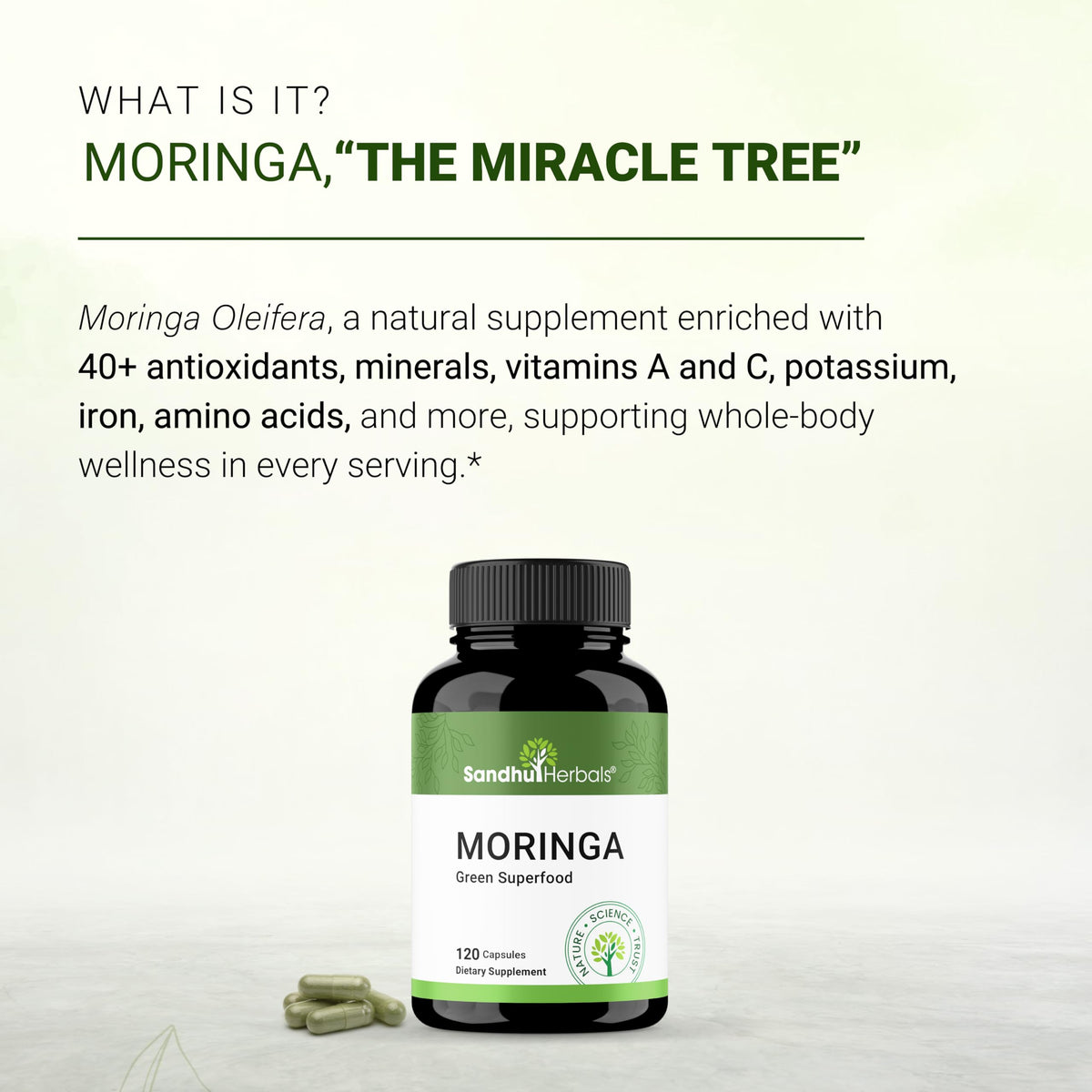 120 Count 900mg Moringa Capsules C91259