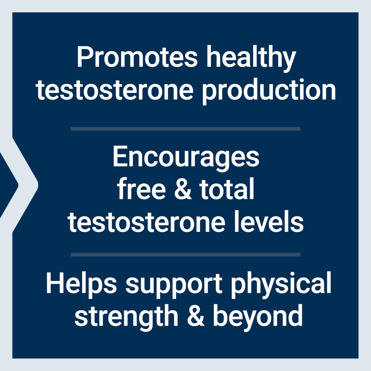 30 Capsules Male Health Support P8995
