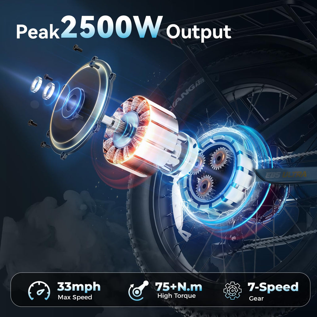 Electric Bike 2500W Peak Motor 1040Wh Battery V15224