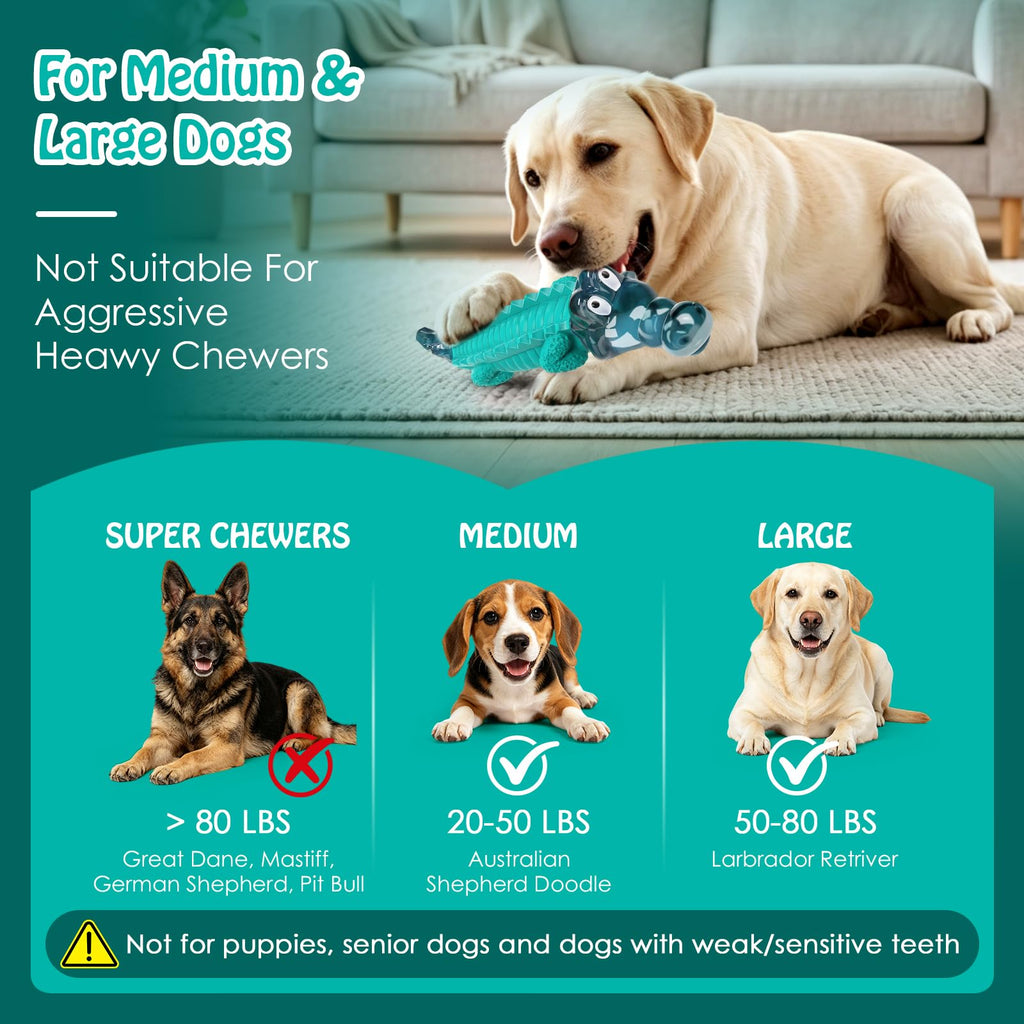 Dog Toys for Aggressive Chewers P825