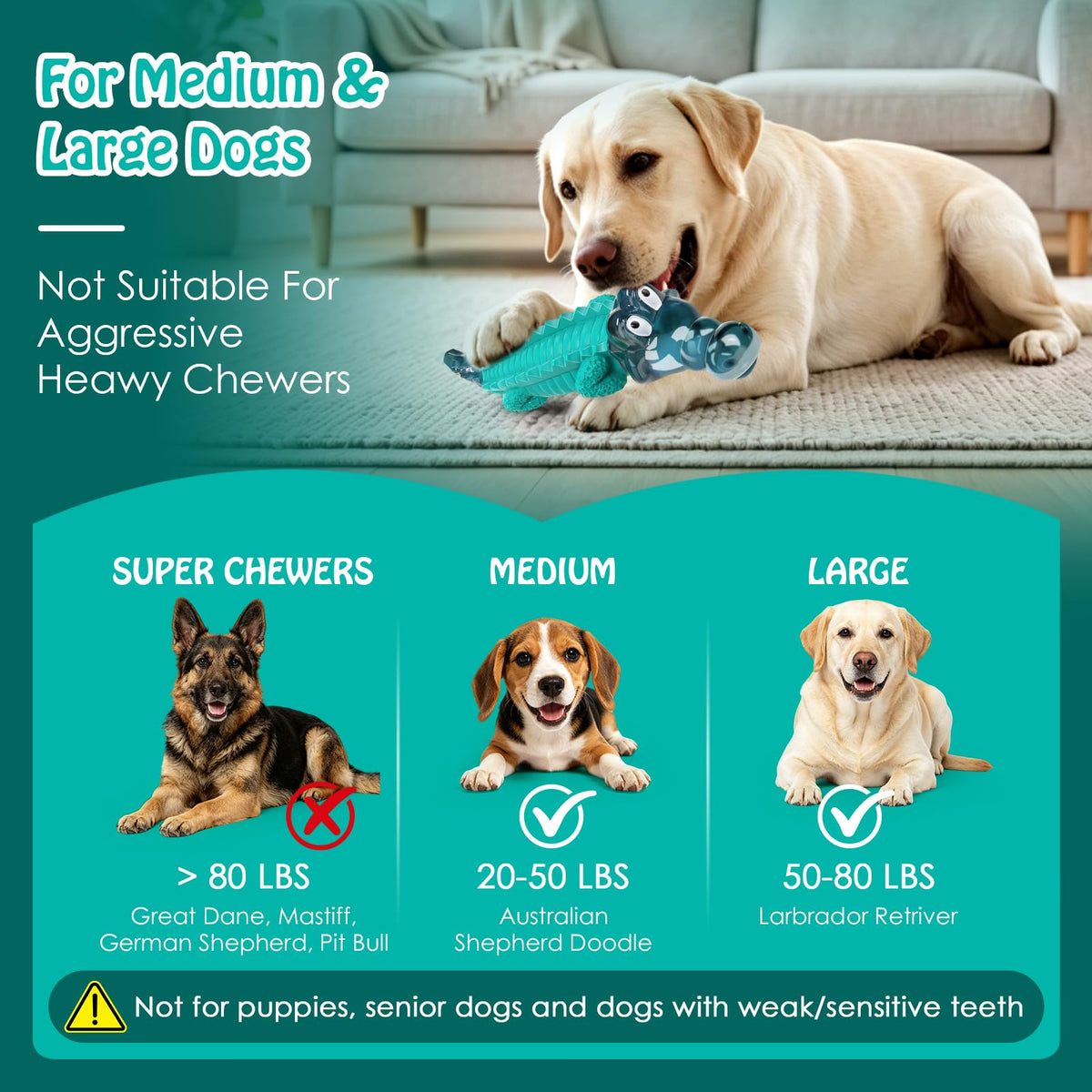 Dog Toys for Aggressive Chewers P825