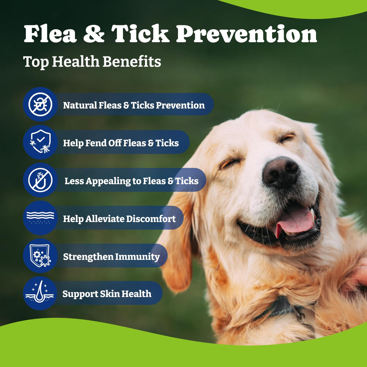 Flea & Tick Prevention for Dogs Chewables L299