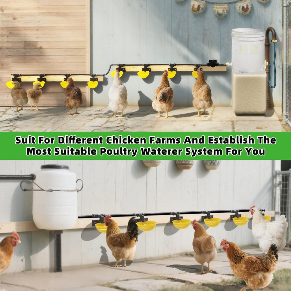 Automatic Chicken Water System Set with Water Cup X343