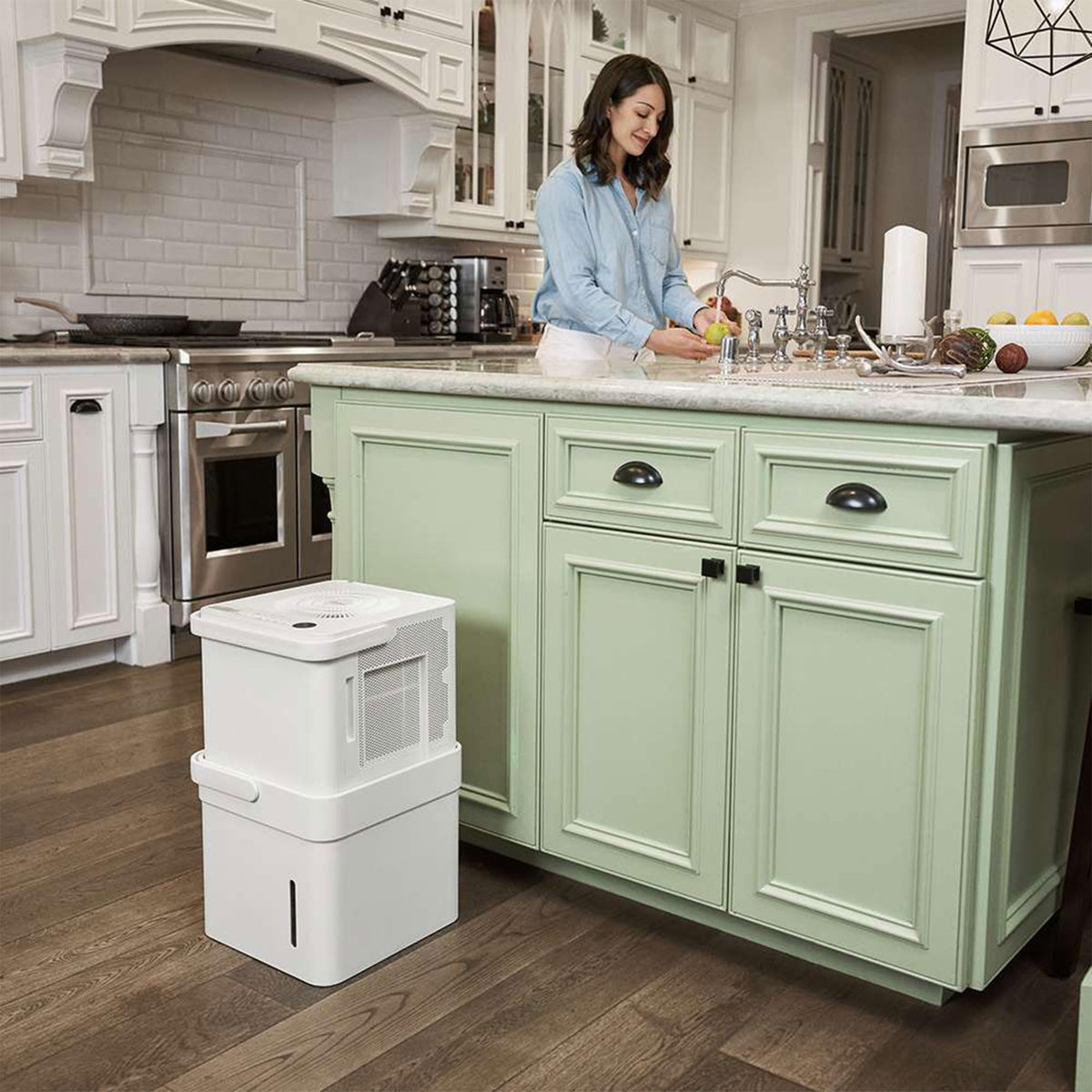 50 Pint Dehumidifier with Smart Control G316304
