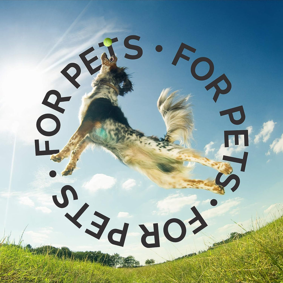Fragrance Free Unscented Dog Shampoo 1 Gallon X4011