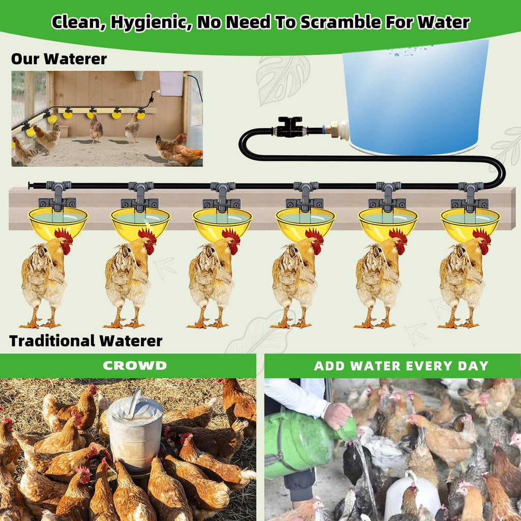 Automatic Chicken Water System Set with Water Cup X343