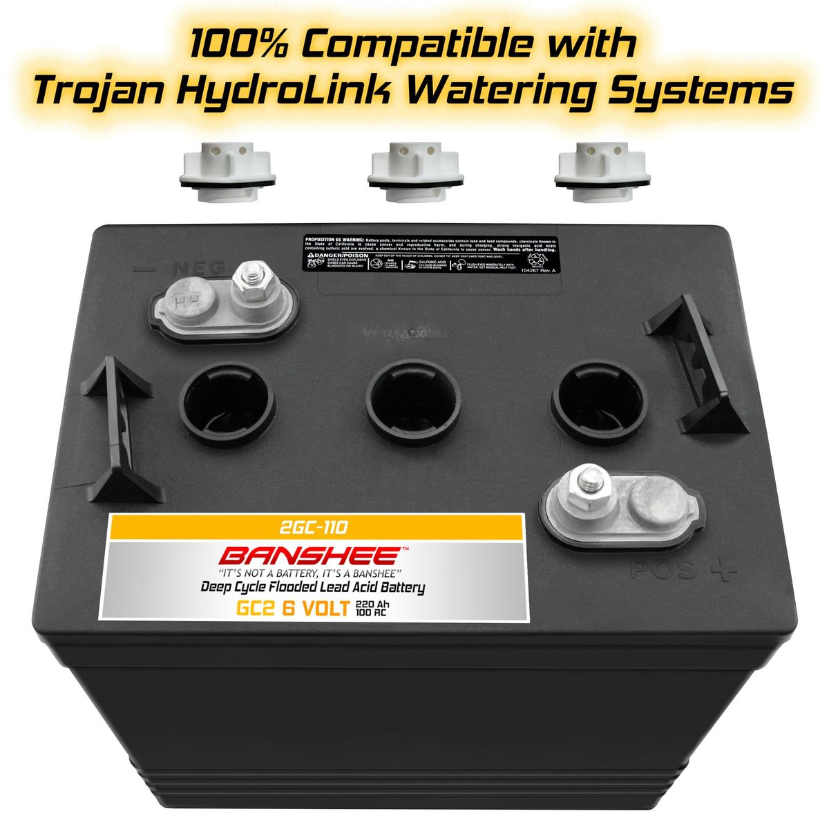 220Ah Deep Cycle Golf Cart Batteries 4-Pack J950