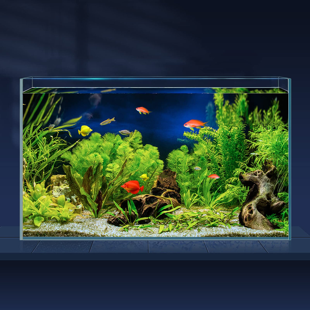 10 Gallon Ultra Clear Rimless Low Iron Glass Fish Tank O569831