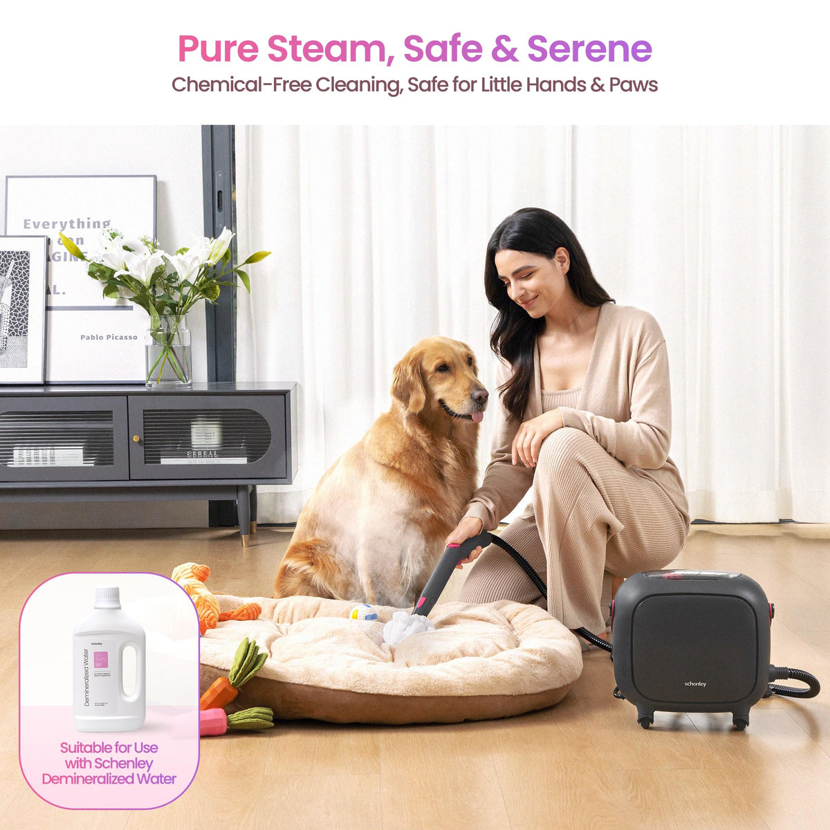 21-in-1 Steam Cleaner D680