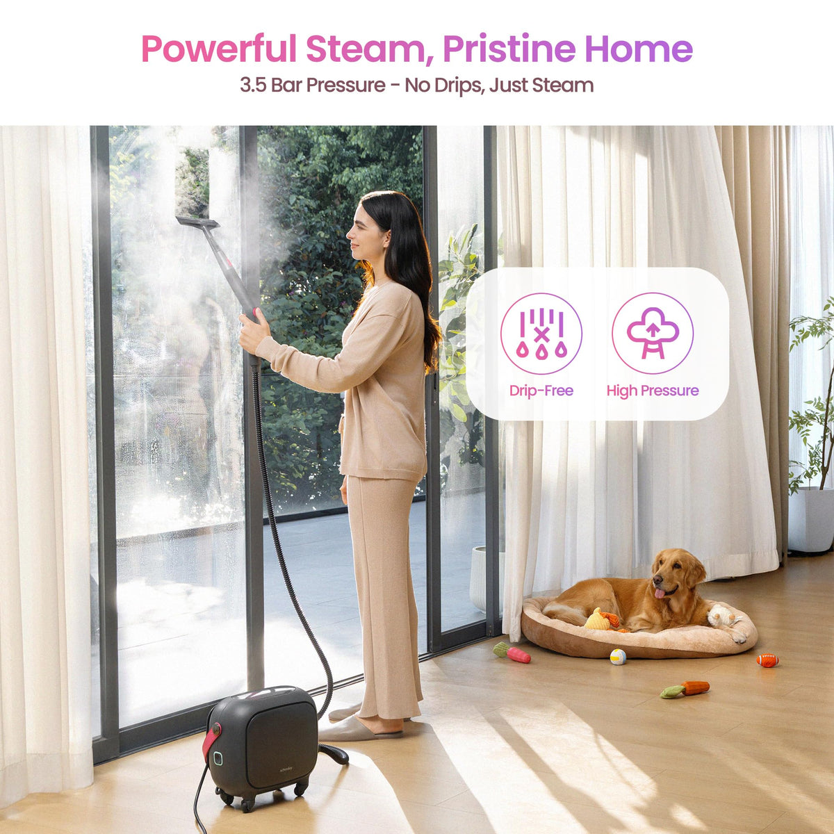 21-in-1 Steam Cleaner D680