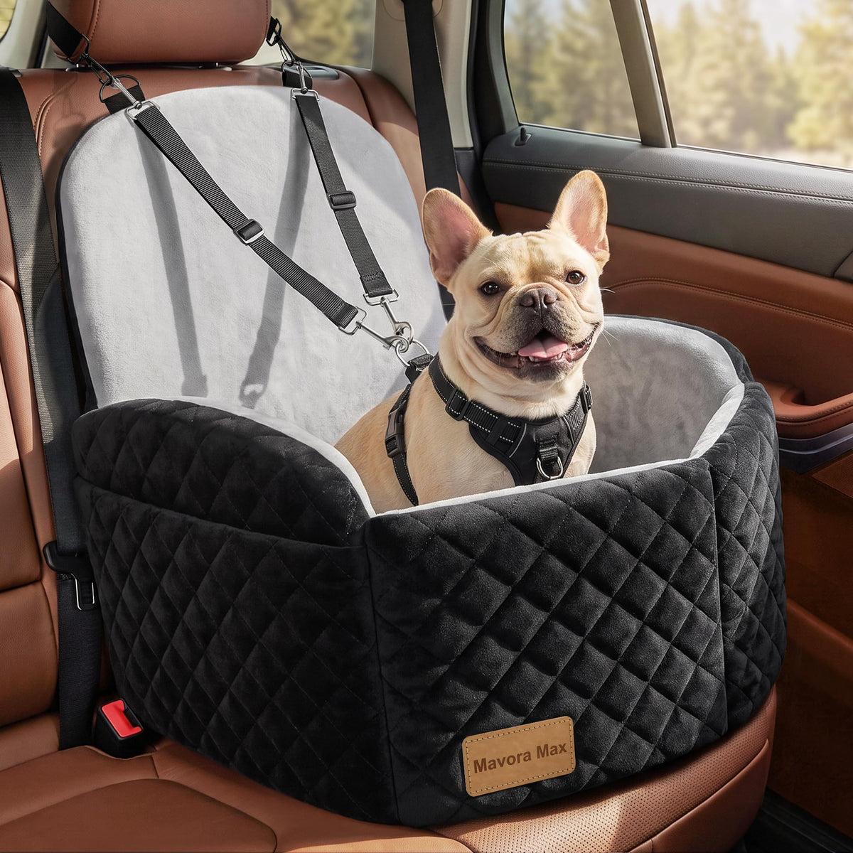 Dog Car Seat for Small/Medium Dogs up to 35lbs, Memory Foam, Grey K730