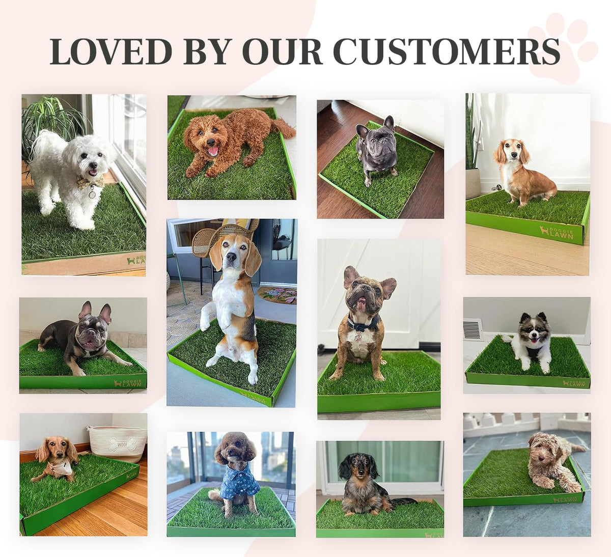 Real Grass Dog Pee Pads Medium 24x20 I4742