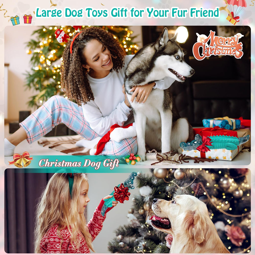 Dog Toys for Aggressive Chewers P825