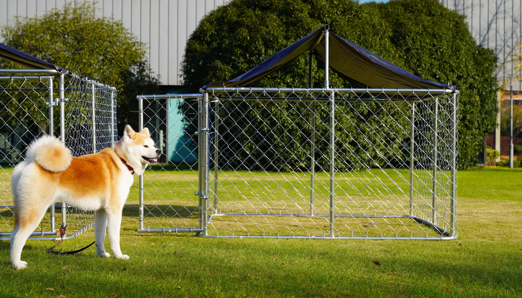 Heavy Duty Steel Dog Kennel with Secure Lock U485620