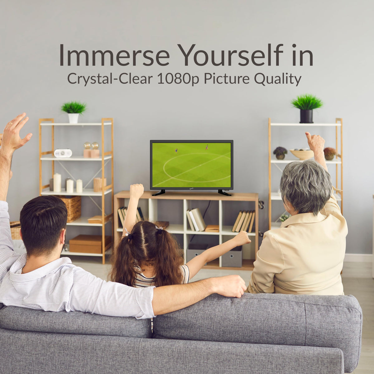 19-Inch LED HDTV with Built-in DVD Player S722