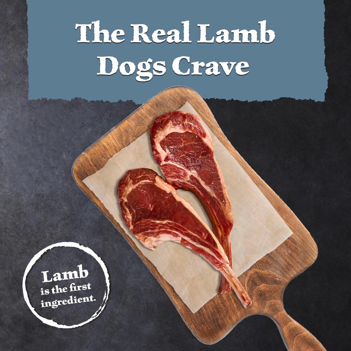 Lamb & Wholesome Grains Senior Dry Dog Food, 4.5 lb R97525