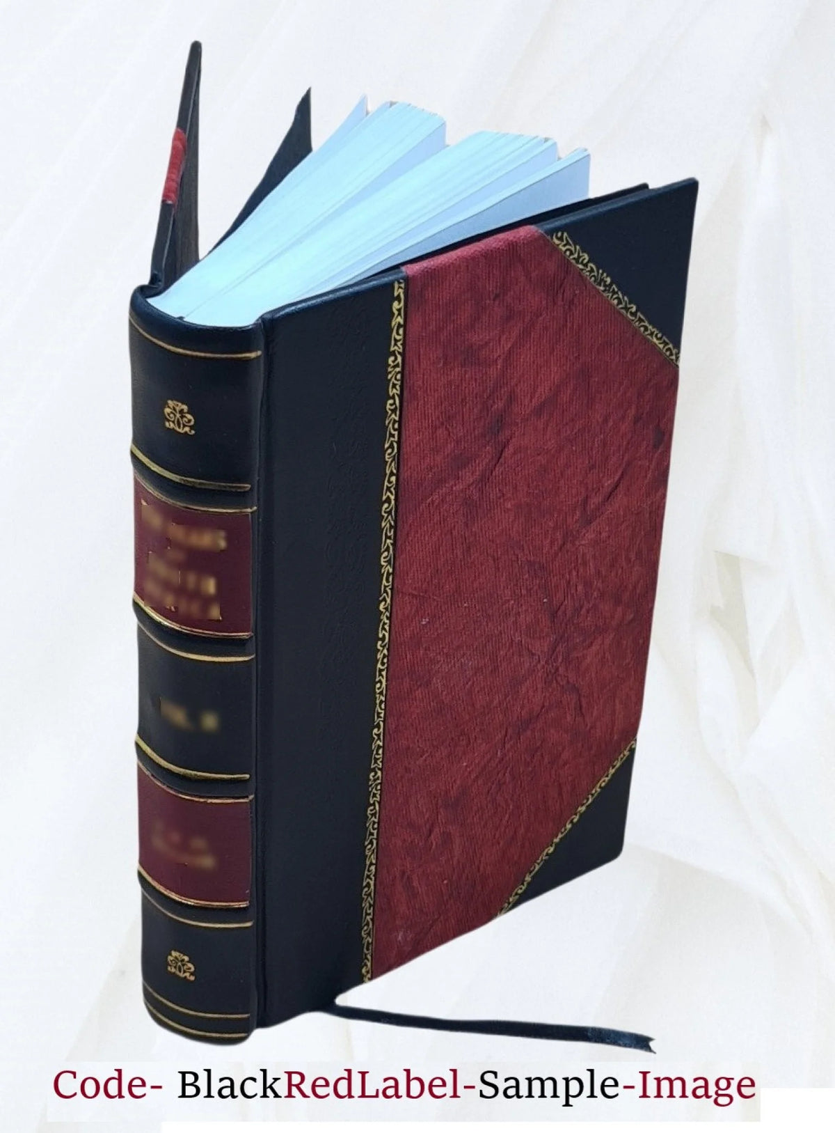 Natural History of Animals L1872